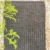 BENDOS BLACK COTTON DHOTI