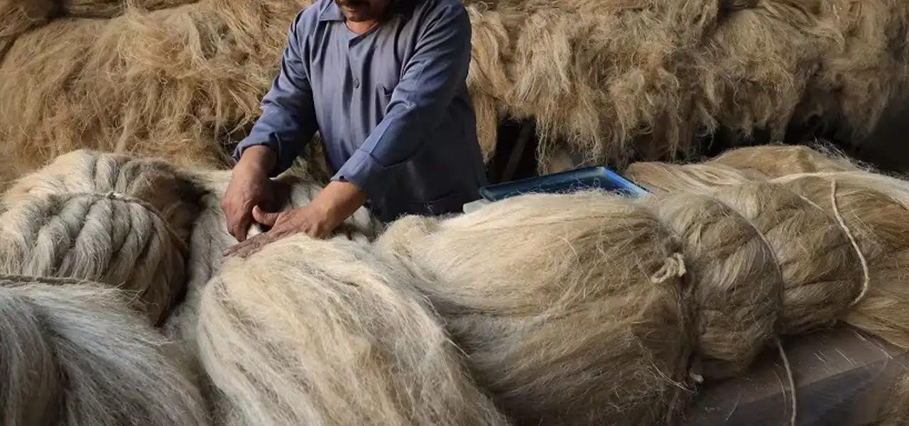 linen fabric, linen fabric for clothing, linen fabric history, handwoven linen, linen weavers in India, linen cloth, cotton linen, white linen fabric, cotton linen material, white linen fabric, handloom linen fabric, jute linen fabric, Sepia Stories