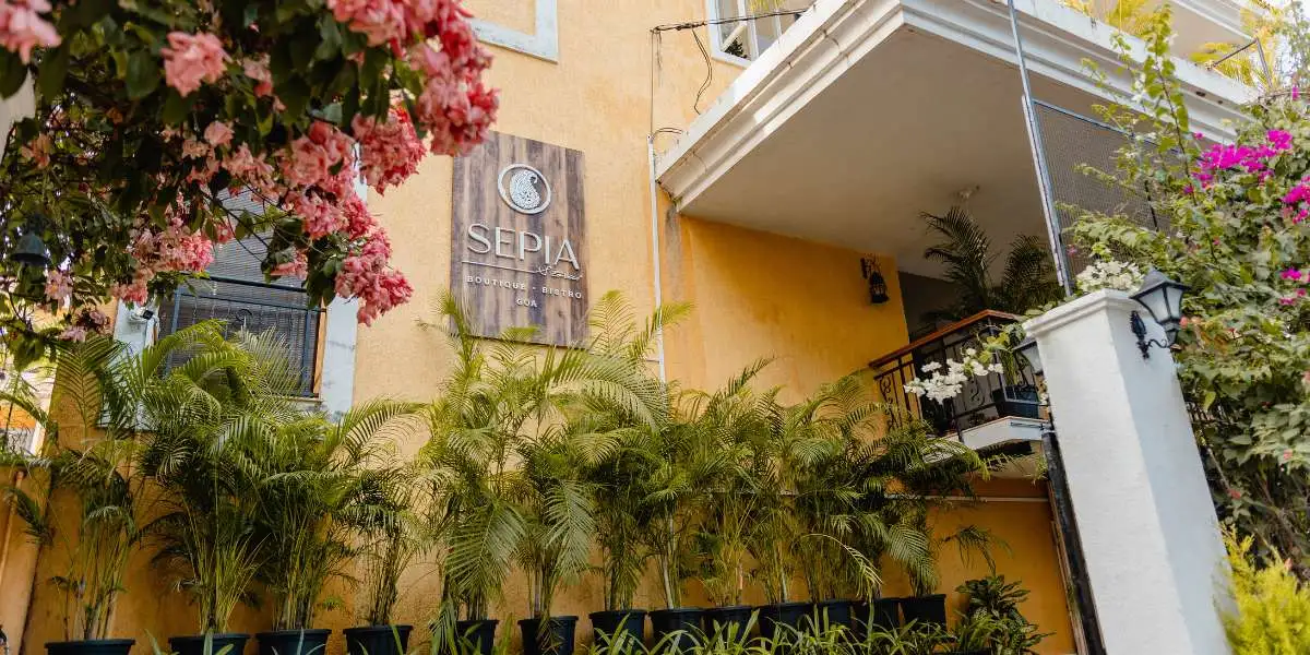 women clothing store online, women clothing store, ladies clothing, women clothing online, slow fashion brands, sustainable clothing brands, women clothing fashion, cotton ladies clothing, dupatta for women, sustainable clothing, ethnic ladies clothing, women clothing kurtis, jumpsuit for women, organic sustainable clothing, stylish ladies clothing, womens clothing jumpsuits, kaftans for women, sustainable clothing women, sepia stories