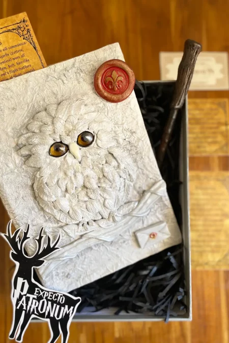 joa harrys hedwig, harry potter diary, harry potter gifts, harry potter gifts for adults, harry potter gifts for men, harry potter gift set, hand crafted gift, unique handcrafted gift, gift for men, gift to a boyfriend, the best gift for friends
