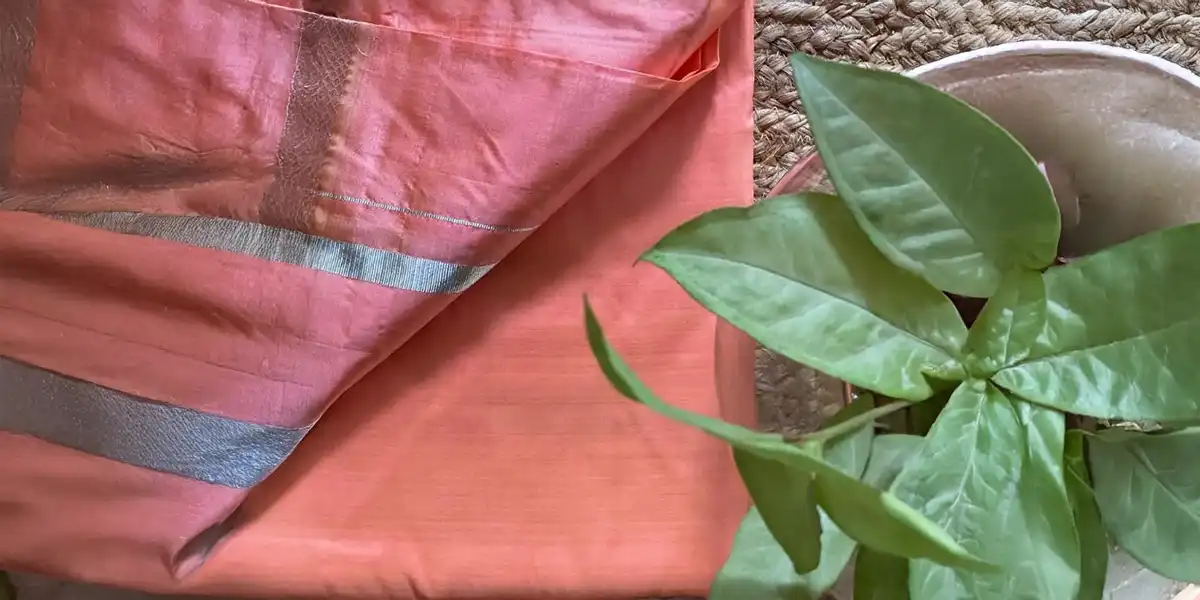 silk clothing, silk clothing for women, silk clothes, silken clothing, silk for clothing, silk clothing benefits, silk clothing brand, silk cloth fabric, silk satin cloth, silk clothing material, sustainable clothing, silk clothing online, silk dress outfit, silk cloth dress, silk dress on sale, silk dresses online, soft silk saree, silk dress top, silk indian clothing, organic clothing, silk cloth dress design, silk dress in summer, recycled fashion, silk cloth design, silk fabric clothing, sustainable silk clothing, sepia stories