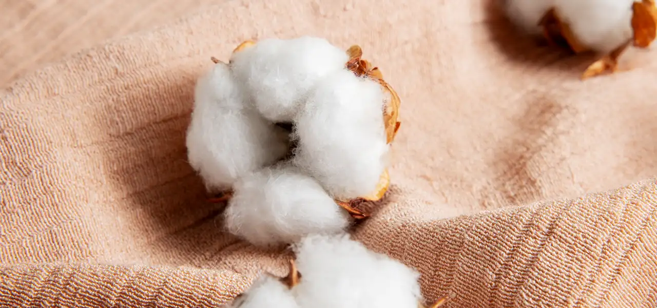 Sustainable Fashion Materials, Sustainable Materials for Clothing, Types of Sustainable Fabrics, Sustainable Practices, Sustainable Fashion Industry, Sustainable Fashion Facts, Sepia stories