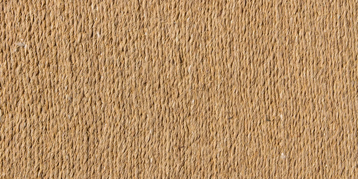 Sustainable Materials Used In Fashion, Sustainable Cotton Clothing, Sustainable Fashion, Sustainable Fashion Brand, Sustainable Fashion Material, Sustainable Lifestyle, Sustainable Practices, Myths Of Sustainable Fashion, Organic Sustainable Clothing, Sepia Stories
