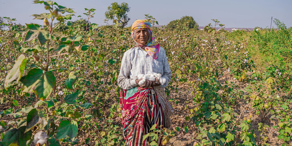 What Is Kala Cotton, Kala Cotton Dress Material, Kala Cotton History, Organic Kala Cotton Fabric, Cotton Fabric Types, Spinning Process Of Cotton, Handloom Cotton, Ancient Cotton Of India, Sustainable Practices, Indian Textile Heritage, Sustainable Lifestyle, Kala Cotton Dress Material, Handloom Cotton Fabric, Sepia Stories