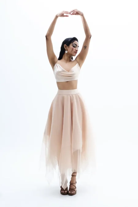 Aelora Beige Organza Mesh Dress, Top And Skirt Set, Women Sleeveless Tops, Organza Skirt And Top, Women’s Western Skirt And Top Set, Party Wear Top And Skirt, Sepia Stories