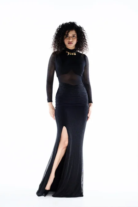 Astra Black Mesh Dress, Black Shimmer Dress, Black Long One Piece Dress, Long Side Slit Dress, Long Sleeve High Neck Long Dress, Party Wear Black Gown, Sepia Stories