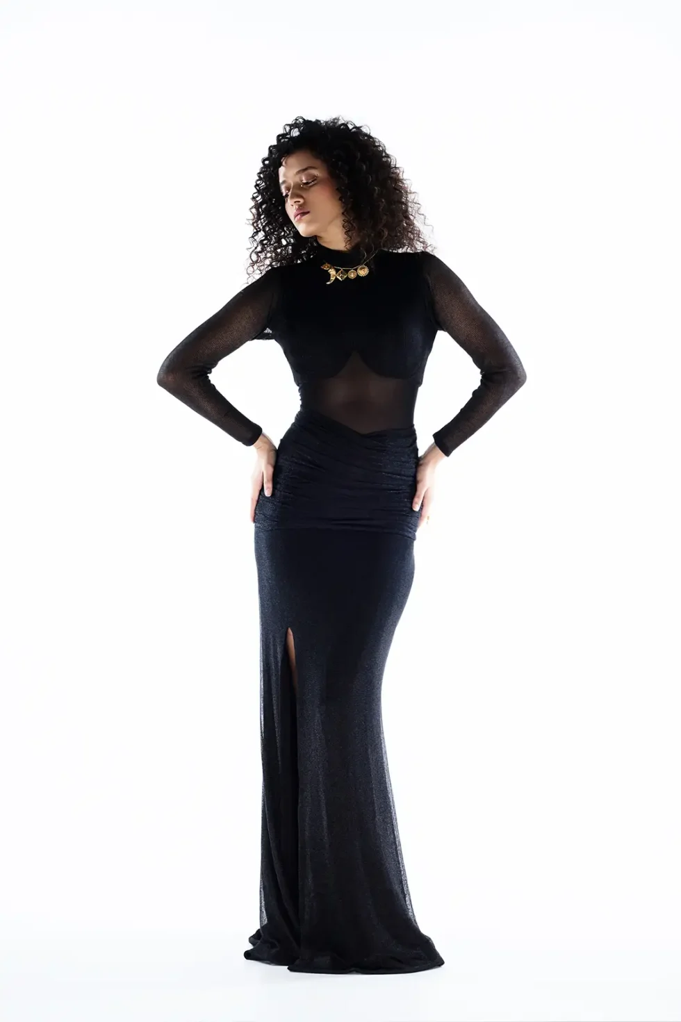 Astra Black Mesh Dress, Black Shimmer Dress, Black Long One Piece Dress, Long Side Slit Dress, Long Sleeve High Neck Long Dress, Party Wear Black Gown, Sepia Stories