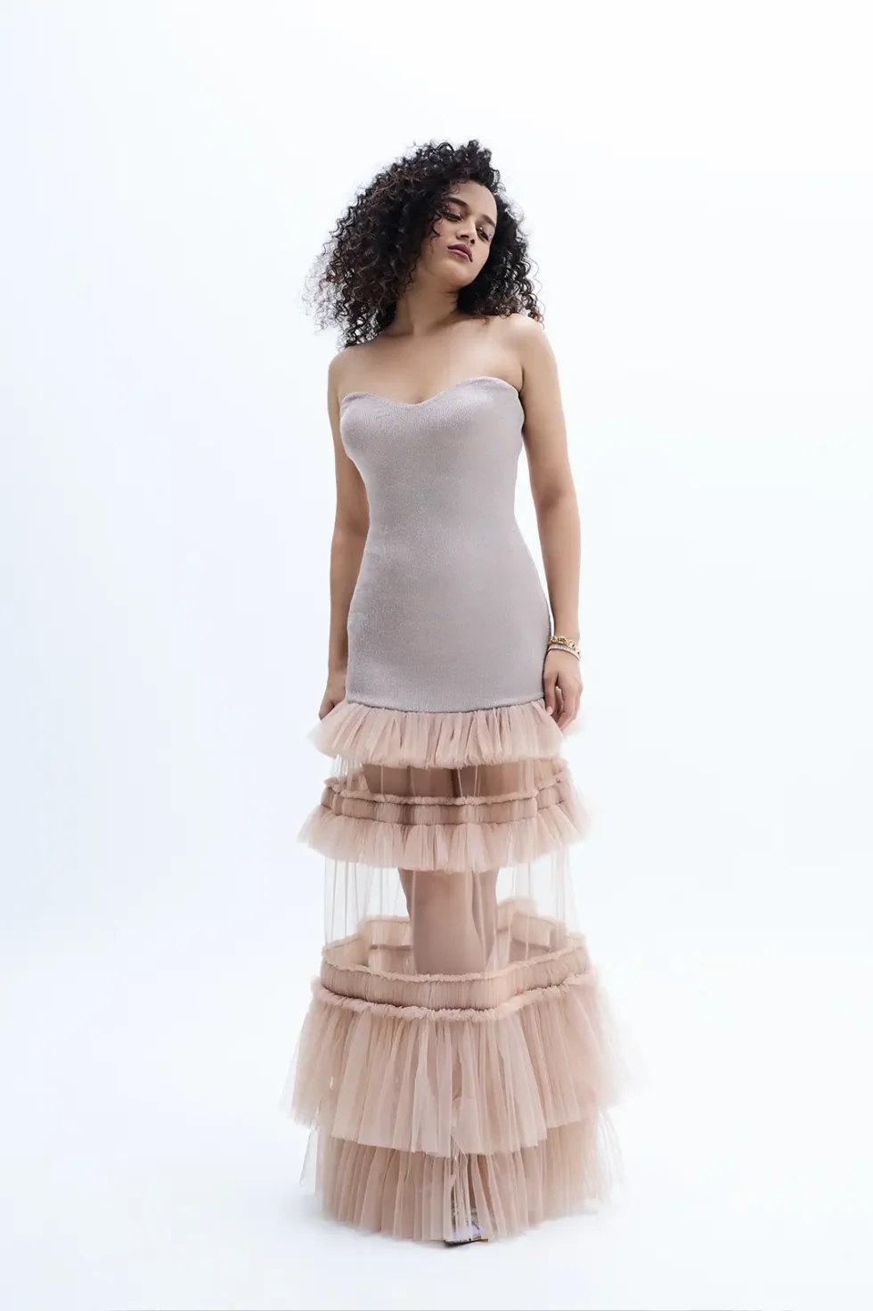 Carina Doll Net Ruffle Dress, Shimmer Dress For Party, Bodycon Strapless Dress, Layered Ruffle Dress, Women Long Dress For Party, Long Shimmer Dress, Sepia Stories